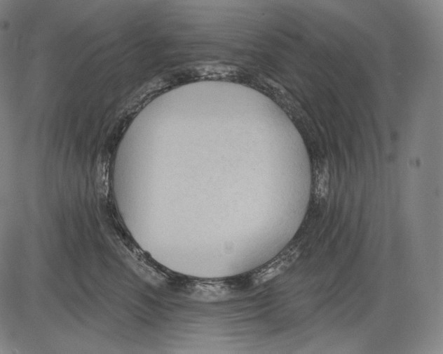 X0000083610666200703121604