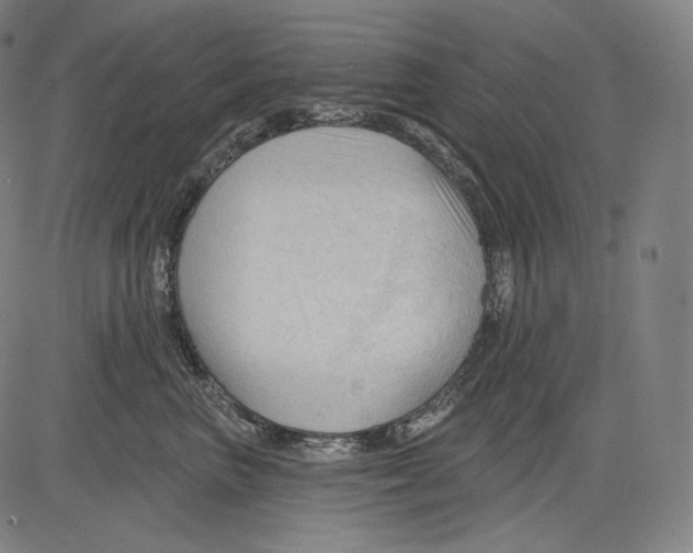 X0000083610667200703121604