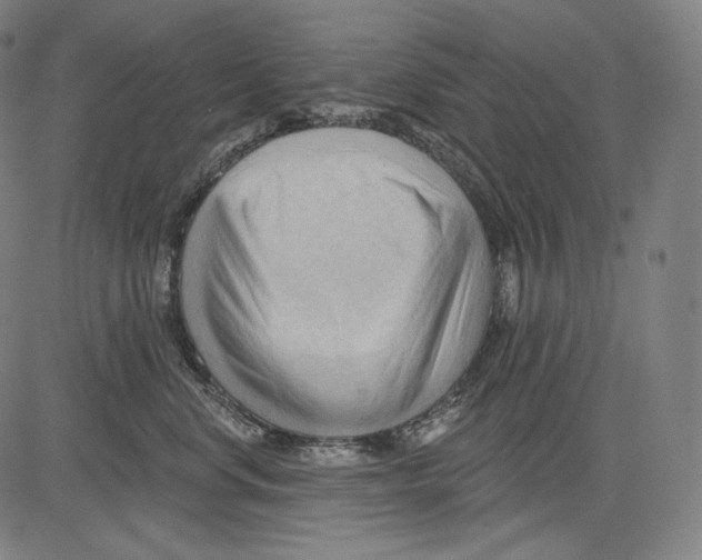 X0000083610668200703121604