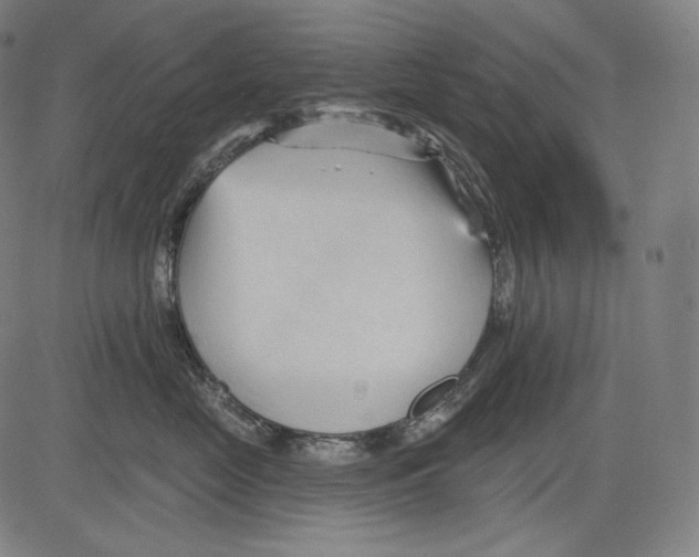 X0000083610669200703121604