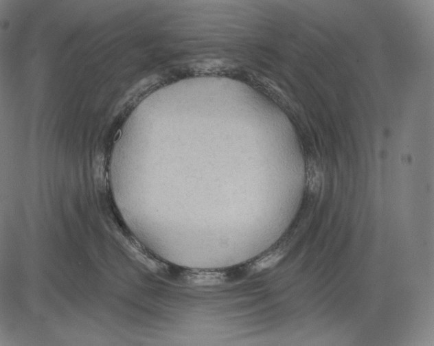 X0000083610670200703121604