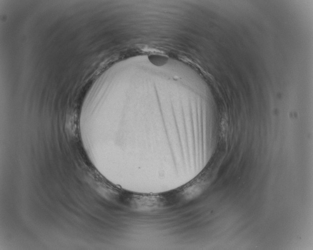 X0000083610671200703121604