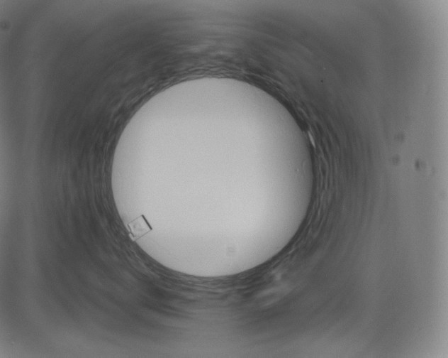 X0000083610672200703121604