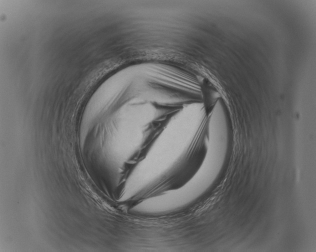 X0000083610673200703121603