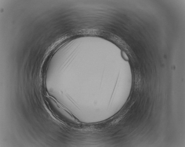 X0000083610674200703121603