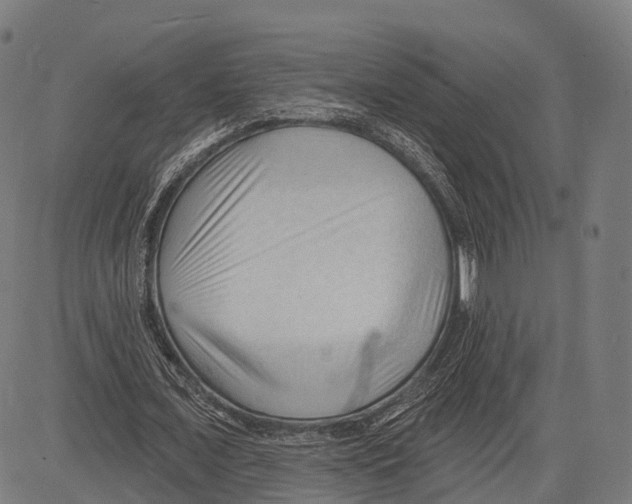 X0000083610675200703121603