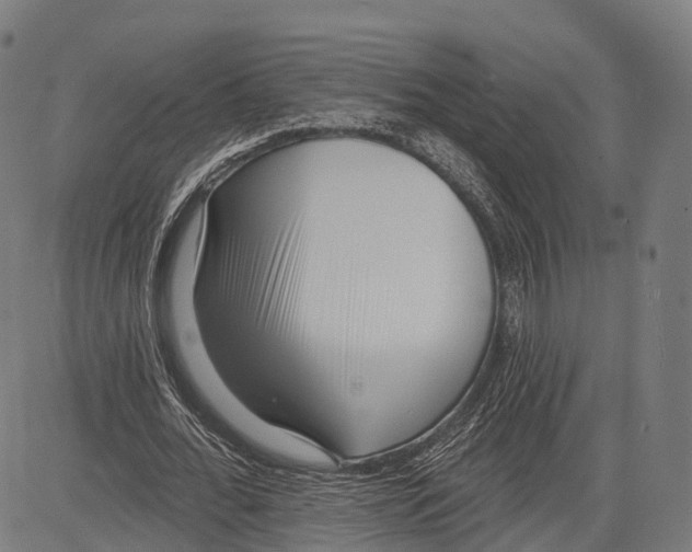 X0000083610676200703121603