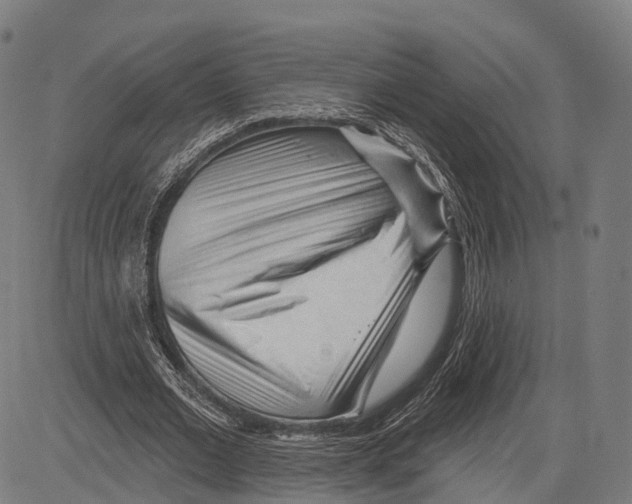 X0000083610677200703121603