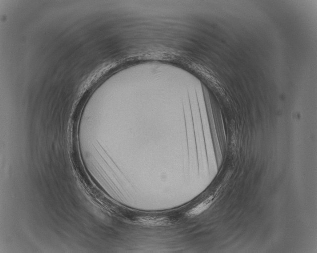 X0000083610678200703121603