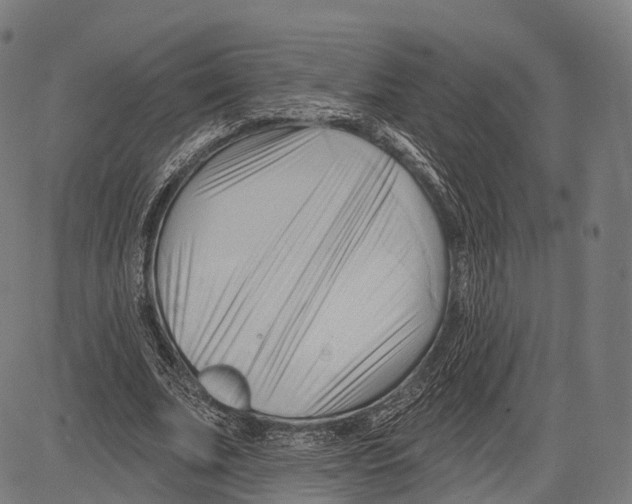 X0000083610679200703121603