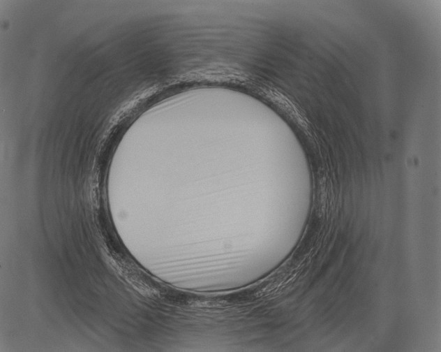 X0000083610680200703121603