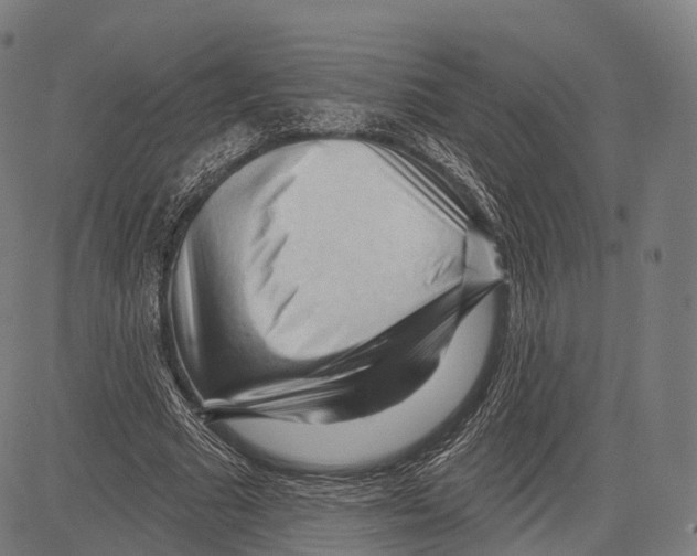 X0000083610681200703121603