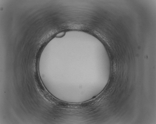 X0000083610682200703121603