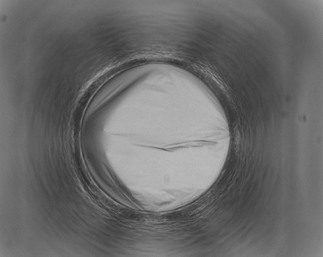 X0000083610684200703121603