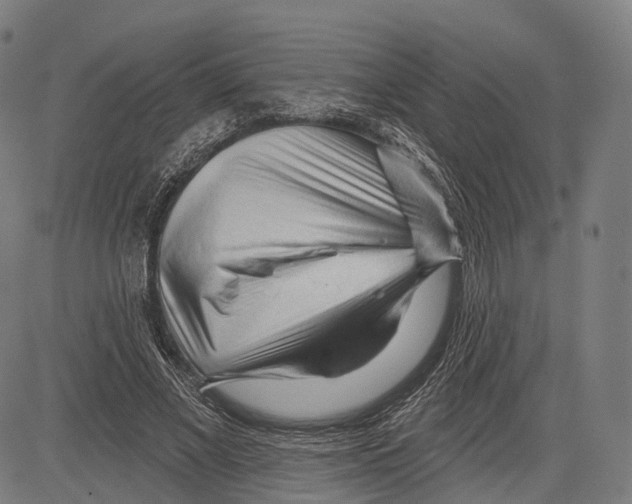 X0000083610685200703121603