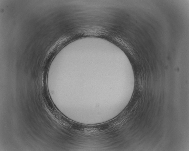 X0000083610686200703121603