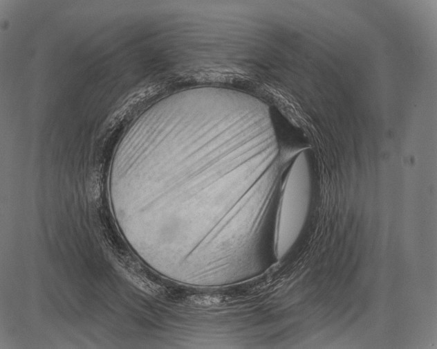 X0000083610687200703121603