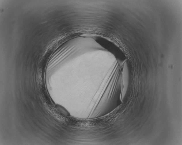 X0000083610688200703121603