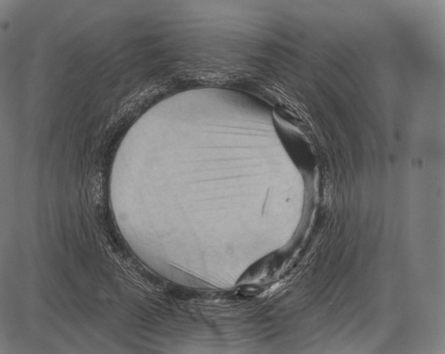 X0000083610689200703121603