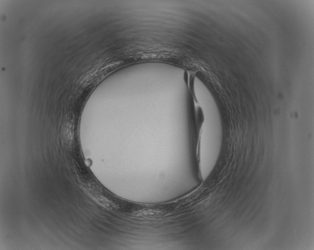 X0000083610691200703121603