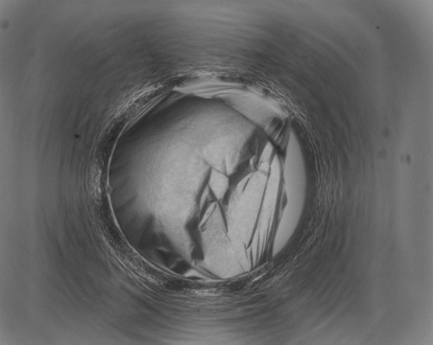 X0000083610692200703121603