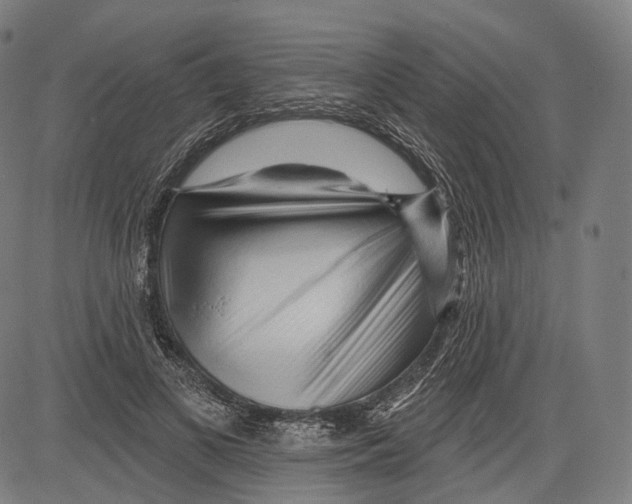 X0000083610693200703121603