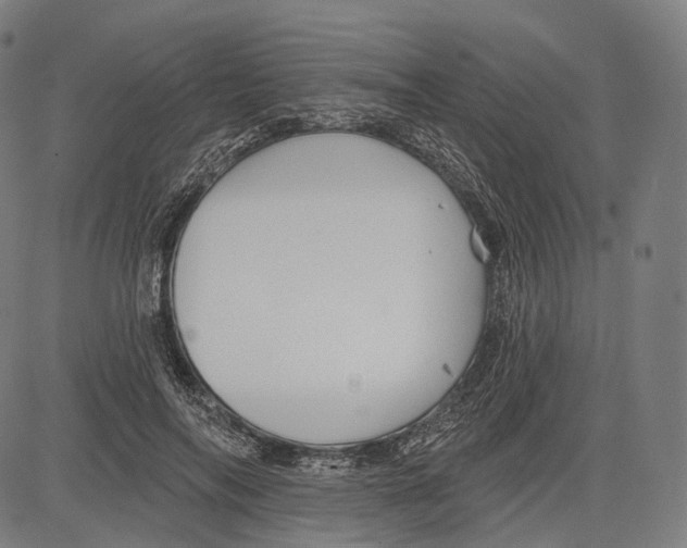 X0000083610694200703121603