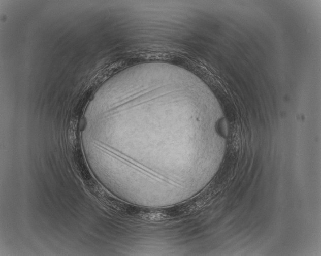 X0000083610695200703121603