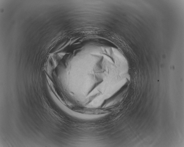 X0000083610696200703121603