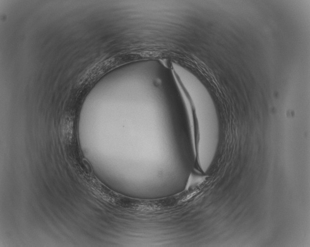 X0000083610697200703121603