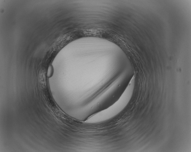 X0000083610699200703121603