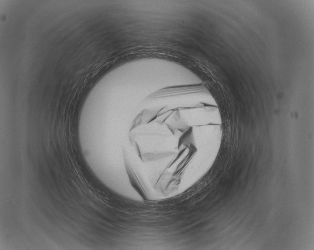 X0000083610700200703121603