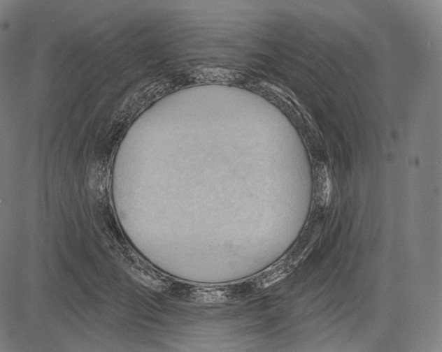 X0000083610701200703121603