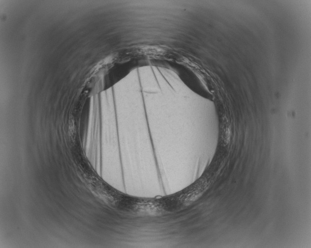 X0000083610704200703121603