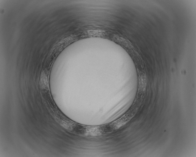 X0000083610705200703121603