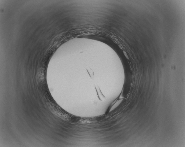 X0000083610706200703121603