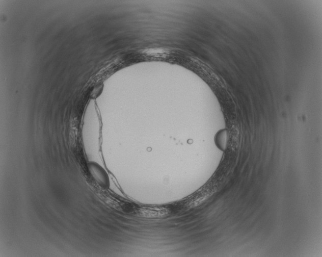 X0000083610707200703121603