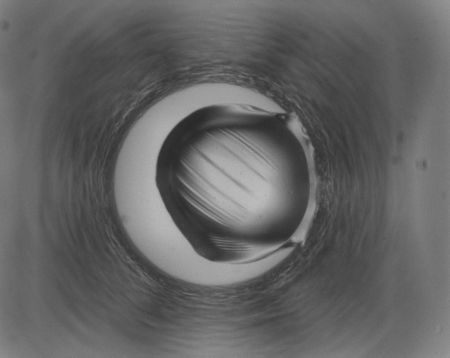 X0000083610708200703121603