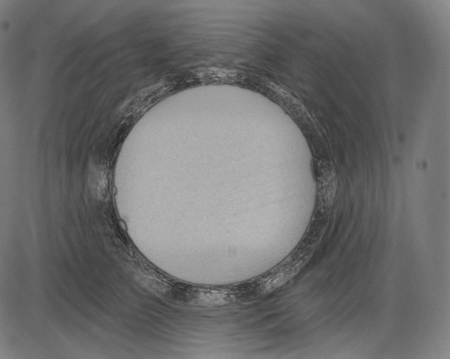 X0000083610709200703121603