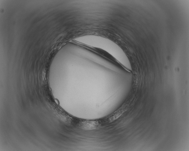 X0000083610711200703121603