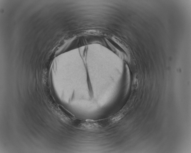 X0000083610712200703121603