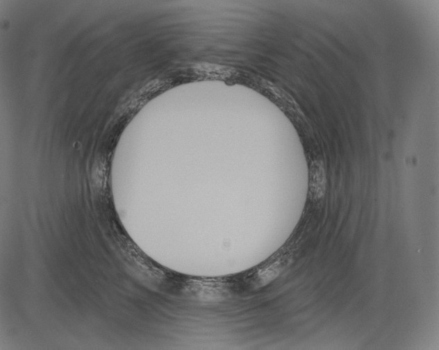 X0000083610713200703121603