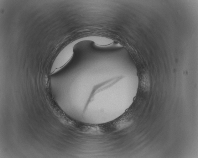 X0000083610715200703121602