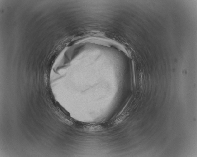 X0000083610716200703121602