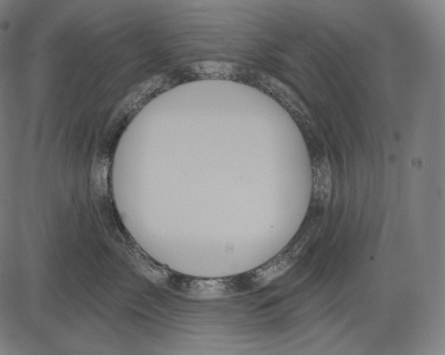 X0000083610717200703121602