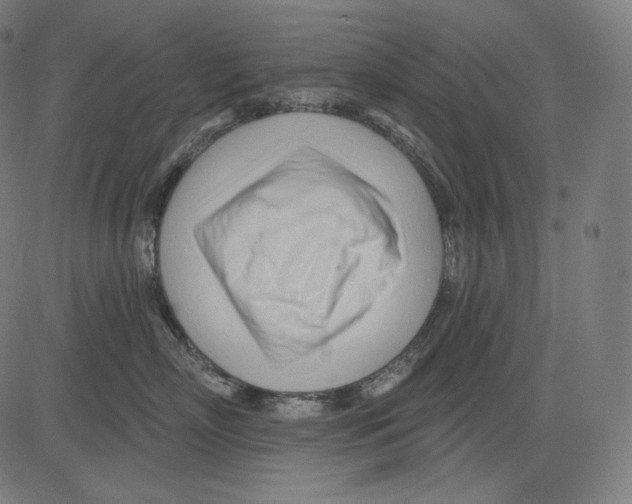 X0000083610718200703121602