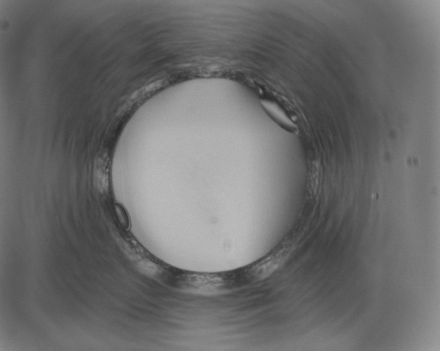 X0000083610719200703121602