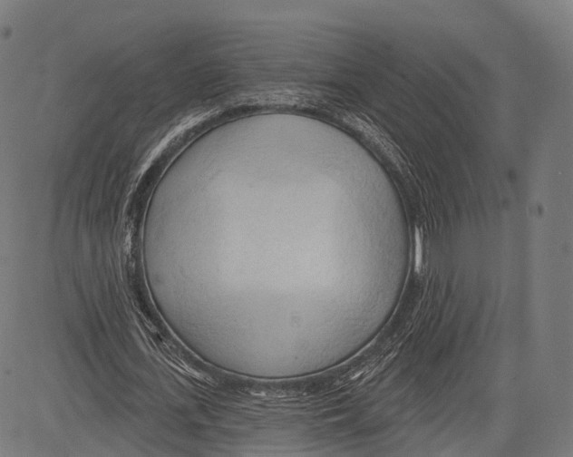 X0000083610723200703121602