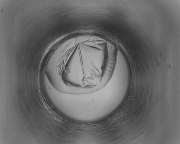 X0000083610724200703121602