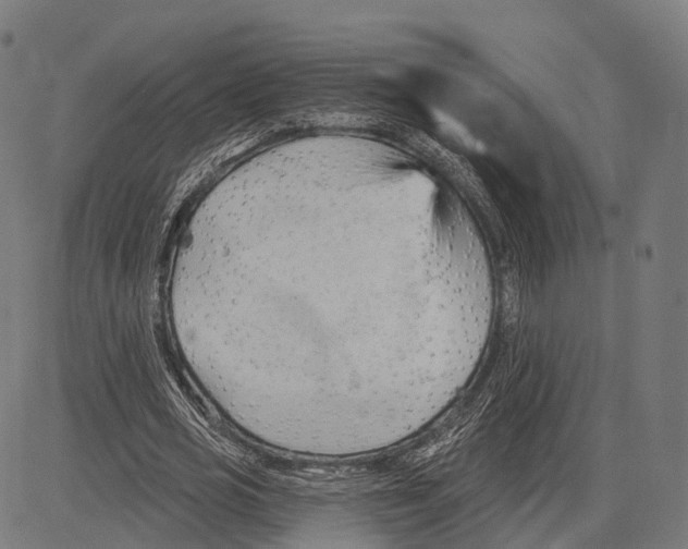 X0000083610725200703121602